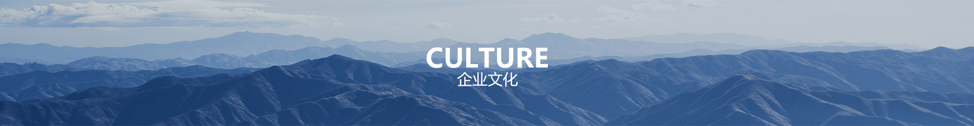 企業文化