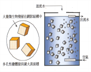 BioNest 生物巢技術
